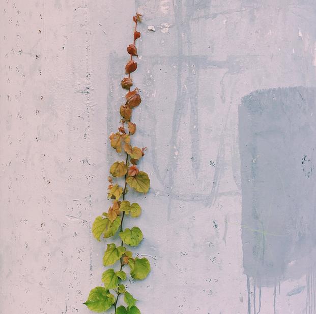 C1D30BFF-889D-40BE-AD68-E897C0AE4717